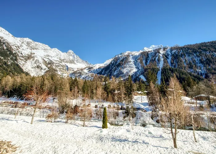 Résidence Grand Roc - Bruyères 118 - Happy *
